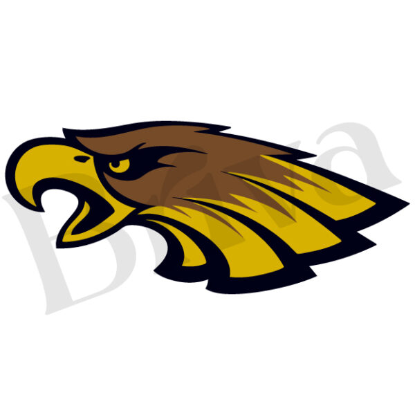 Homer Hanna High School Design