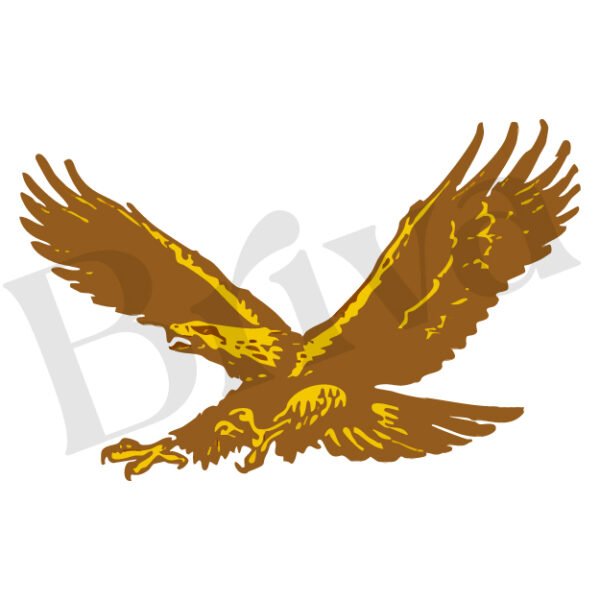 Homer Hanna High School Design